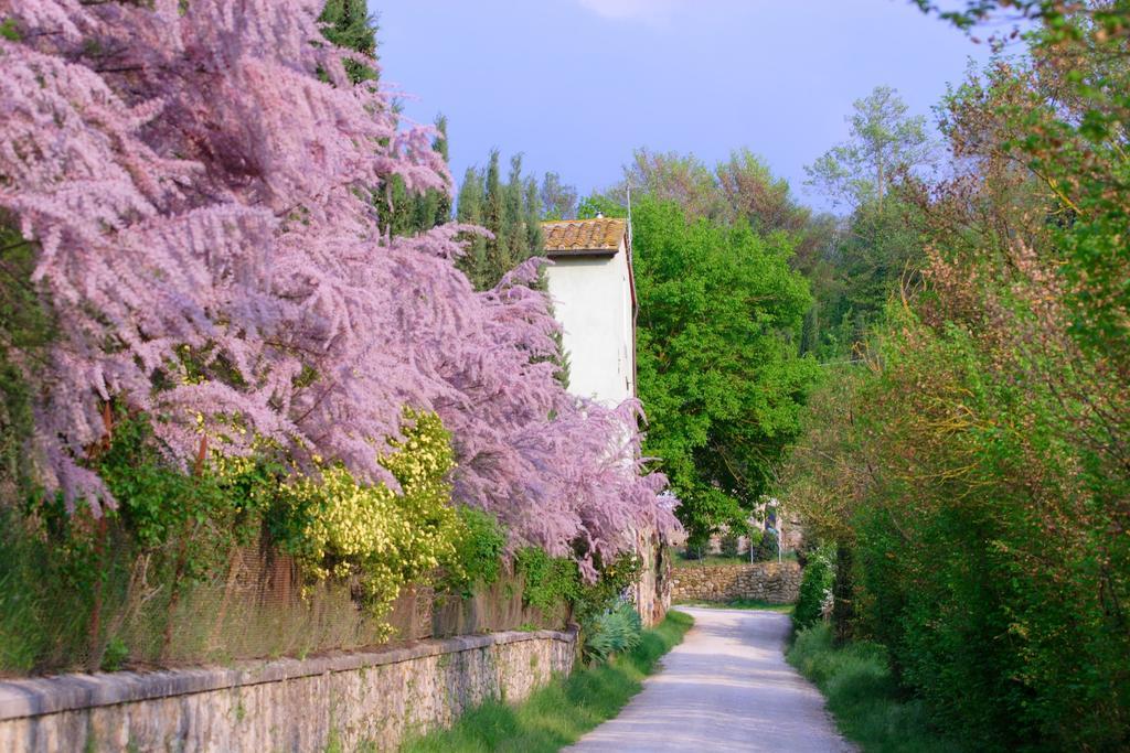 Tenuta Il Tresto Poggibonsi Exterior photo